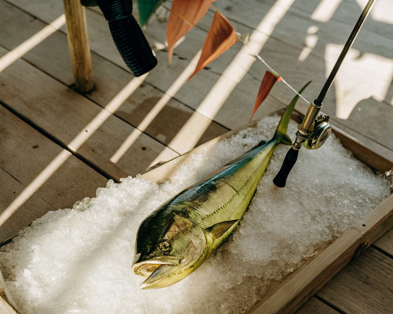 Trophy catch on ice at the dock, celebrating a corporate incentive charter win
